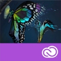 Obrázek Adobe Premiere Pro Creative Cloud MP ML COM TEAM (12 měsíců)